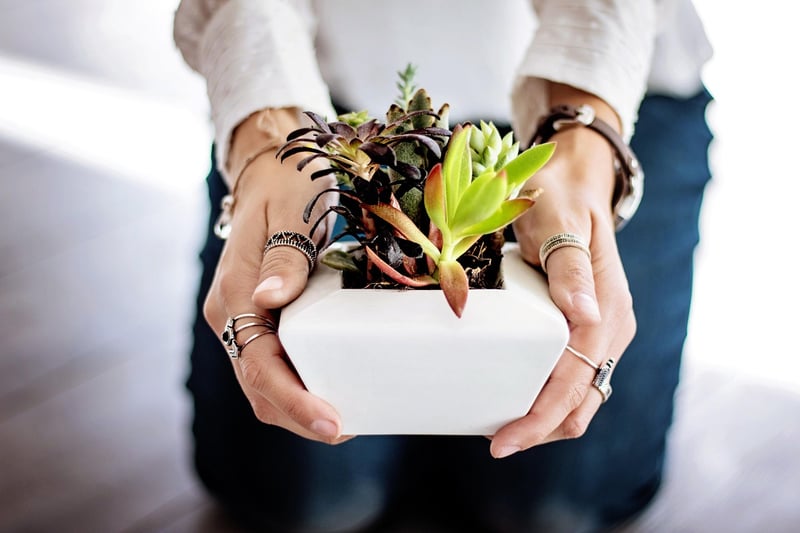 Eco-Friendly Home Decor